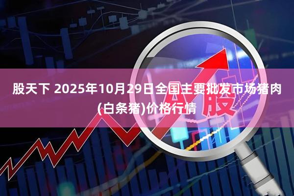 股天下 2025年10月29日全国主要批发市场猪肉(白条猪)价格行情